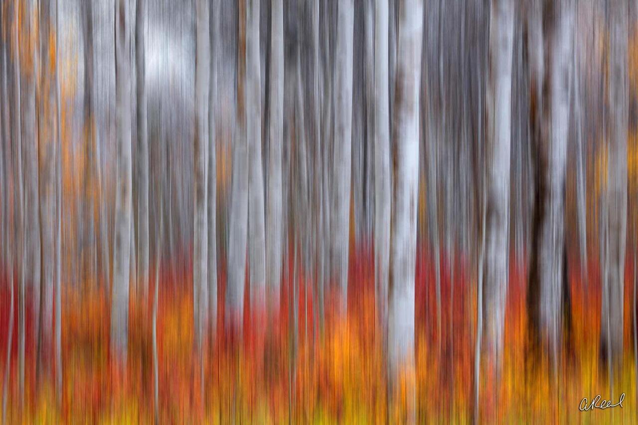 Brushed | Abstract Photography Gallery | Aaron Reed