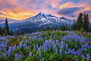 Mount Rainier rising above the Washington landscape