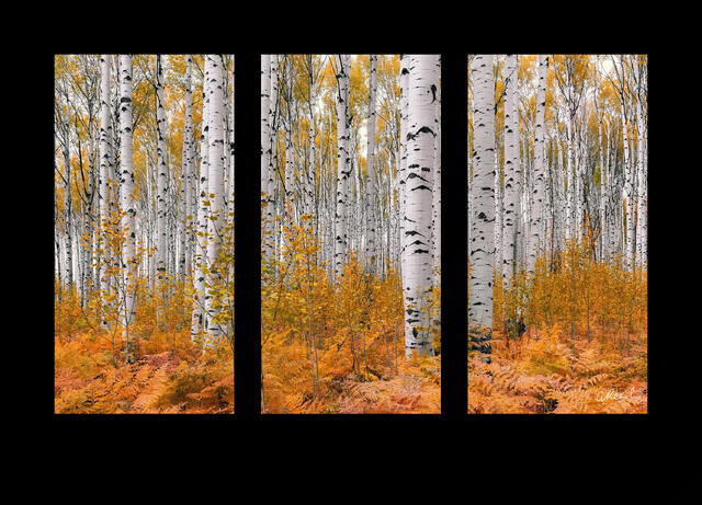 Autumn Soldiers Triptych