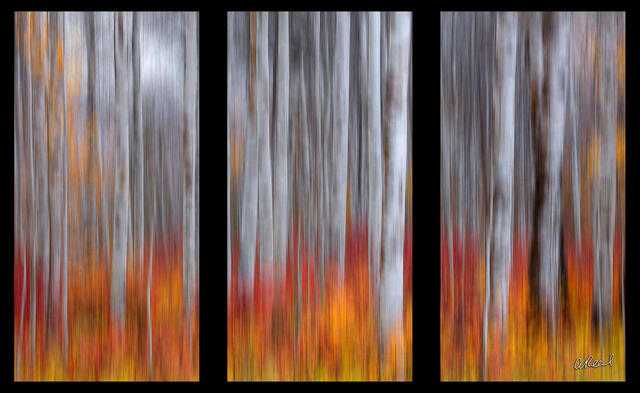 Brushed Triptych