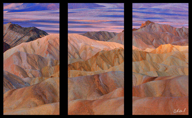 Butterfly Effect Triptych
