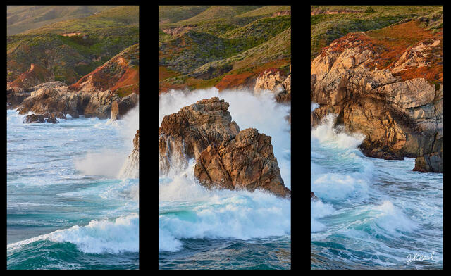 California Love Triptych