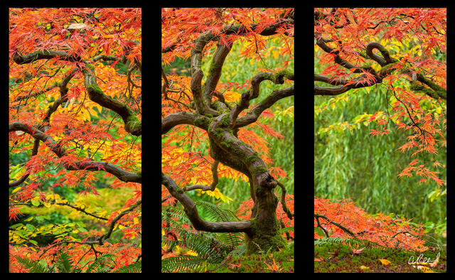 Crackle Triptych