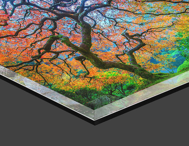 PLATINUM SERIES | LUMACHROME ACRYLIC FINE ART PRINTS