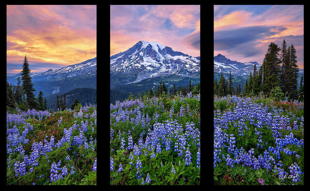 On Earth Triptych
