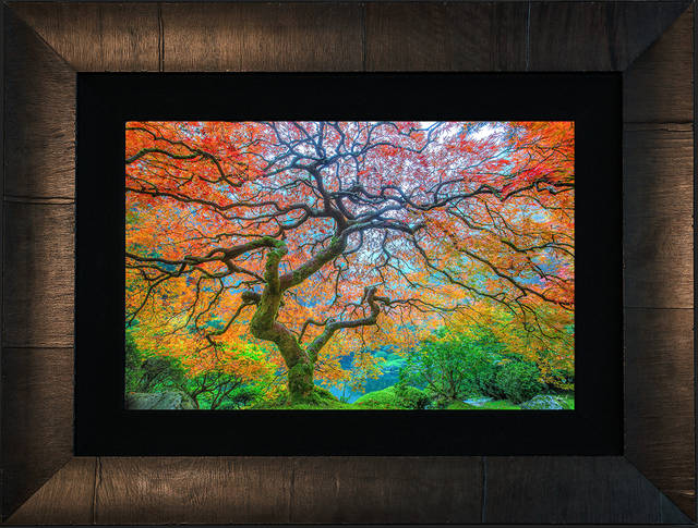 DIAMOND SERIES | ROMA FRAMED LUMACHROME ACRYLIC FINE ART PRINTS