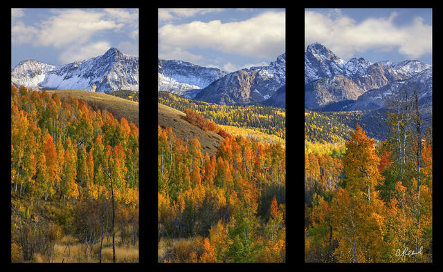 Seasons Flame Triptych
