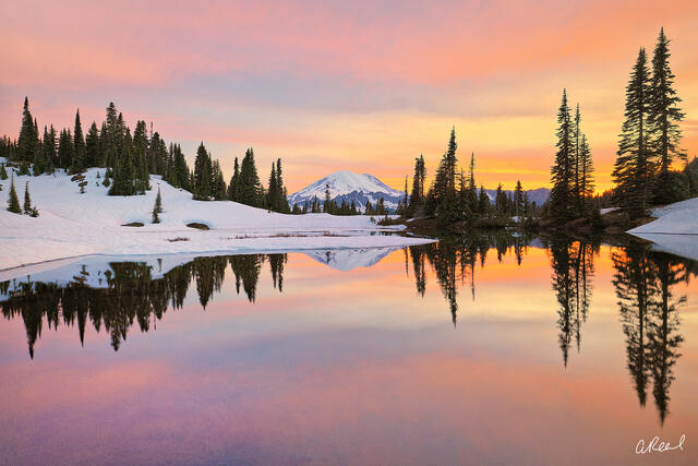 Sherbet Sunset