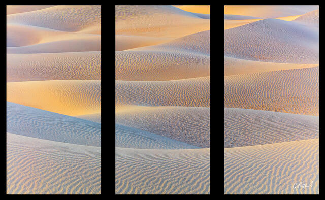 Sidewinder Triptych