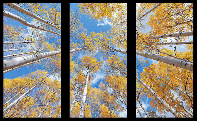 The Rise Triptych