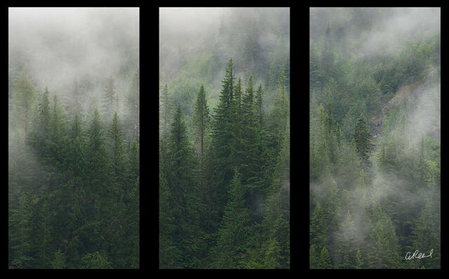 The Sentinels Triptych
