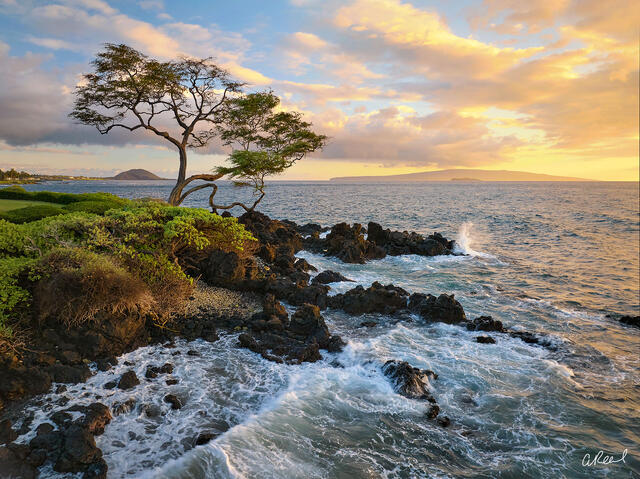 The Spirit of Wailea