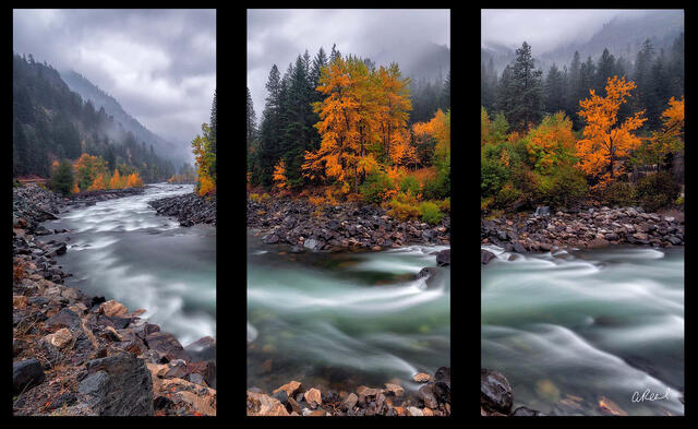 The Wash Triptych
