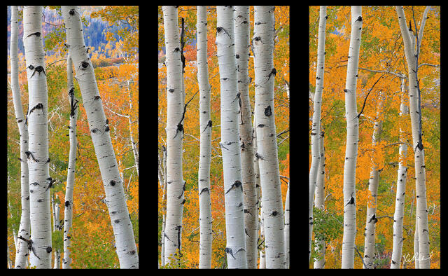 Toy Soldiers Triptych