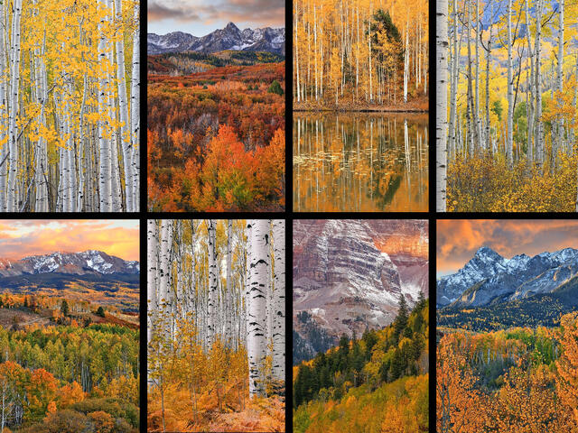 Colorado Nature Photography