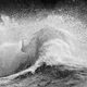 Aphrodite Monochrome