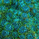 Bluish Green