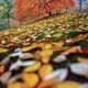 Colorfall
