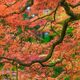 Colors Of Nature