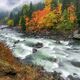 The Colors Of The Canyon
