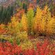Fifty Shades Of Fall