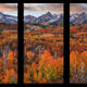 First Light Triptych