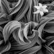 GrowthBW