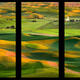Ignition Triptych