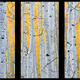 Julius Triptych