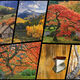 New Releases Aaron Reed
