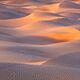 Snakes In The Sand