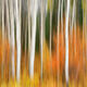 Warp Speed Squared