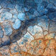 DragonSkin Squared