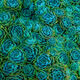 Bluish Squared