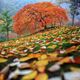 Colorfall Squared