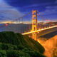 Stars In The Bay