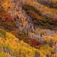 The Colors Of Colorado