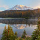 The Revealing Panoramic
