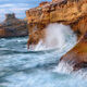 The Sea Serpent