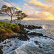 The Spirit of Wailea