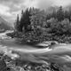The Wash Monochrome