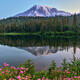 These Silent Mornings Panoramic