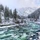 Winterfresh