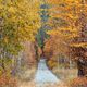 Backroads