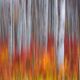 Brushed Panoramic