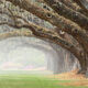 The Hollow Ones Pano