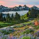 Eternal Beauty Pano