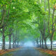 Into The Silence