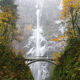 Autumn Ice