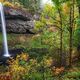 Fall Whispers